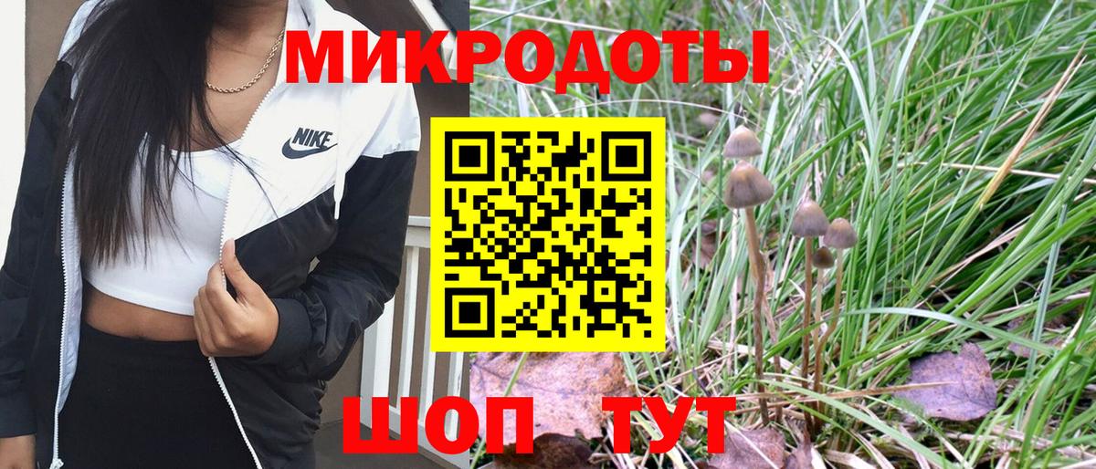Галлюциногенные грибы Psilocybe Улан-Удэ