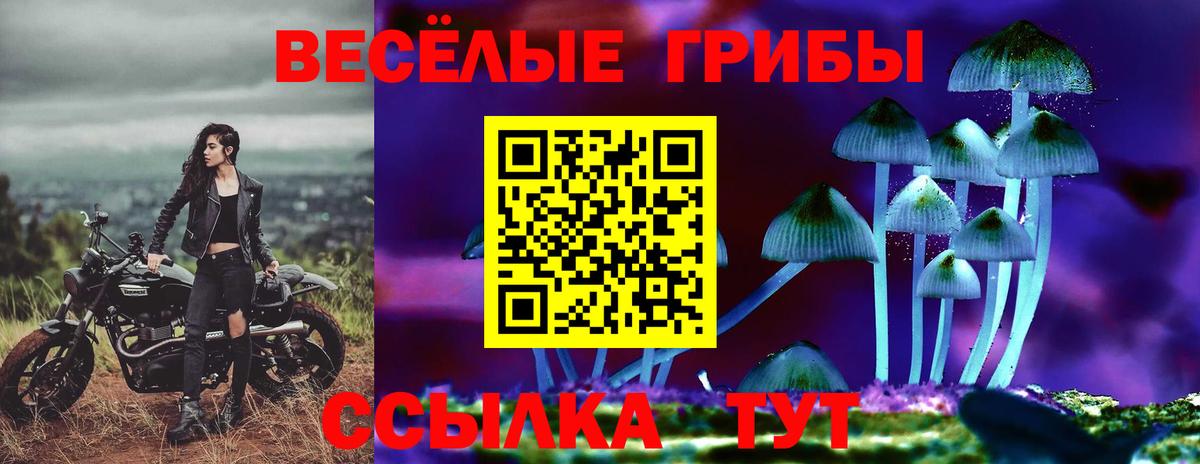 Улан-Удэ  Галлюциногенные грибы мухоморы  Вход с VPN  Псилоцибиновые грибы Magic Shrooms 